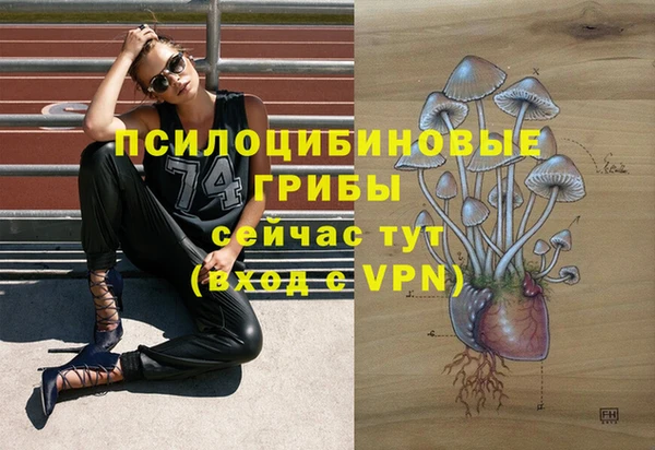 меф Пересвет