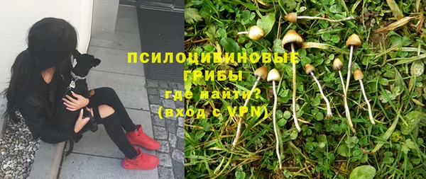 меф Пересвет