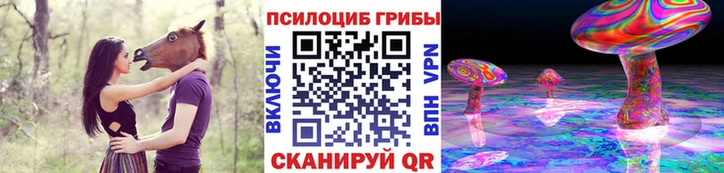купить закладку  mega ССЫЛКА  Псилоцибиновые грибы мухоморы  Павловский Посад 
