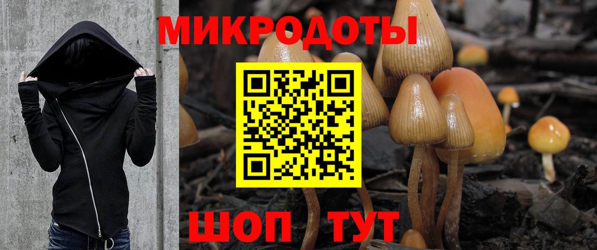 Псилоцибиновые грибы Cubensis Павловский Посад