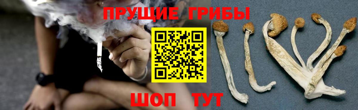Галлюциногенные грибы GOLDEN TEACHER  Вход с VPN  Псилоцибиновые грибы ЛСД  Павловский Посад 